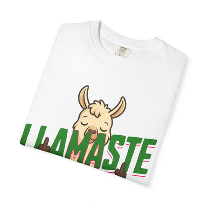FPD - Llamaste B*itches Yoga Llama Funny Meditation Streetwear Unisex Heavyweight Cotton T-Shirt, Sarcastic Zen Animal Graphic Tee