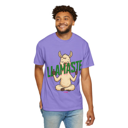 FPD - Llamaste B*itches Yoga Llama Funny Meditation Streetwear Unisex Heavyweight Cotton T-Shirt, Sarcastic Zen Animal Graphic Tee