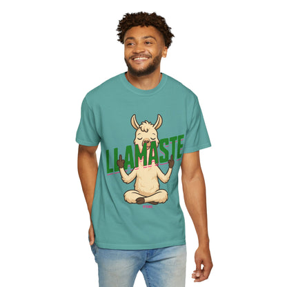FPD - Llamaste B*itches Yoga Llama Funny Meditation Streetwear Unisex Heavyweight Cotton T-Shirt, Sarcastic Zen Animal Graphic Tee