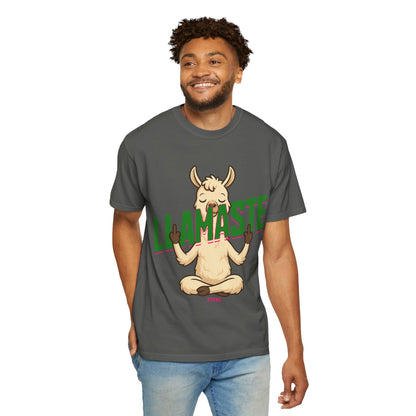 FPD - Llamaste B*itches Yoga Llama Funny Meditation Streetwear Unisex Heavyweight Cotton T-Shirt, Sarcastic Zen Animal Graphic Tee