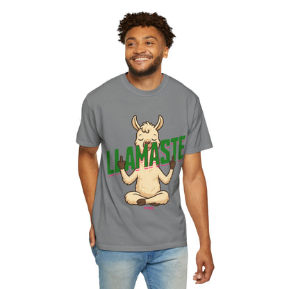 FPD - Llamaste B*itches Yoga Llama Funny Meditation Streetwear Unisex Heavyweight Cotton T-Shirt, Sarcastic Zen Animal Graphic Tee