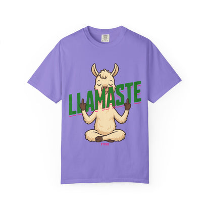 FPD - Llamaste B*itches Yoga Llama Funny Meditation Streetwear Unisex Heavyweight Cotton T-Shirt, Sarcastic Zen Animal Graphic Tee