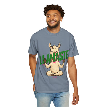 FPD - Llamaste B*itches Yoga Llama Funny Meditation Streetwear Unisex Heavyweight Cotton T-Shirt, Sarcastic Zen Animal Graphic Tee